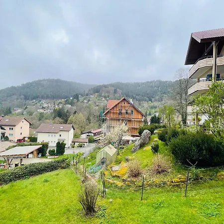 Bad Wildbad. 2.3 In Ruhige Lage. شقة باد ويلباد