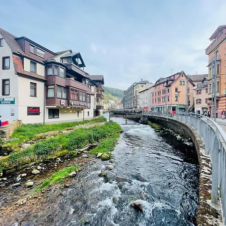 شقة Bad Wildbad. 2.3 In Ruhige Lage. *