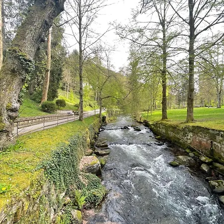 Bad Wildbad. 2.3 In Ruhige Lage.